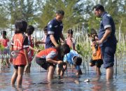 Peringati Hari Mangrove Sedunia, Program Menanam 48.000 Pohon PT Timah Tanam Mangrove di Empat Wilayah