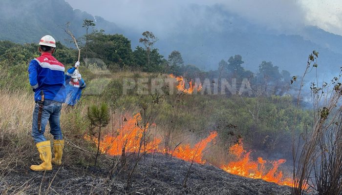 Respons Cepat Pertamina Geothermal Energy Area Kamojang Bantu Padamkan Kebakaran Hutan Gunung Guntur