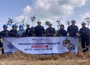 Semarak Penanaman 48.000 Pohon PT Timah, Seluruh Wilayah Operasional Juga Tamam 480 Pohon Buah