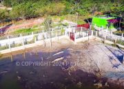 PPS Alobi di Kampoeng Reklamasi Air Jangkang PT Timah Rehabilitasi Puluhan Buaya, Endy: Tambang Ilegal Jadi Biang Terganggunya Ekosistem Buaya