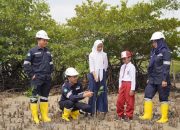 Gencarkan Penanaman Mangrove, Langkah Nyata PT Timah Dalam Mitigasi Perubahan Iklim 