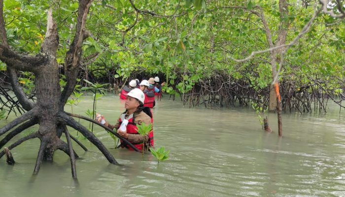 Rutin Lakukan Pemantauan Bioata Laut, Komitmen PT Timah Menjaga Keseimbangan Ekosistem Pesisir