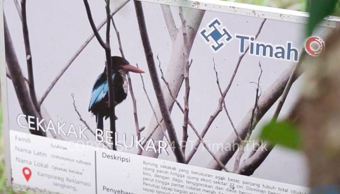 Gotong Royong Melestarikan Satwa, PT Timah Bersama Alobi Foundation Rehabilitasi Ratusan Satwa