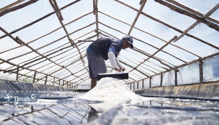 KUPS Garam Mudong Lestari Bangkit Berkat Dukungan PT Timah Tbk