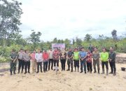 Rehabilitasi DAS di Bangka Selatan, PT TAM Kolaborasi Bersama Korem 045 Gaya Tanam Pohon Kayu Putih