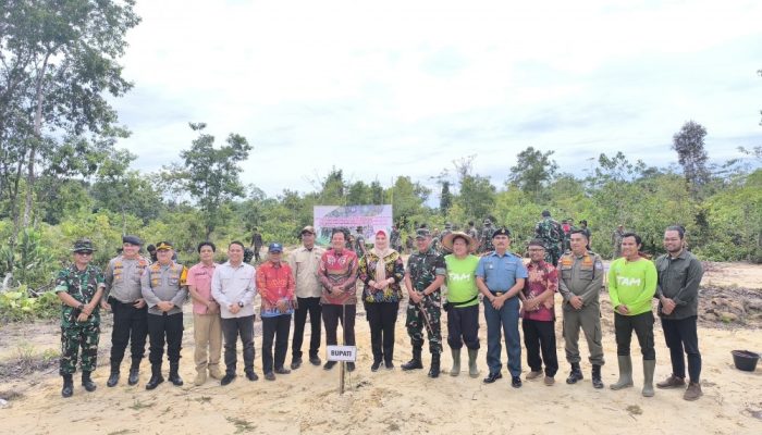 Rehabilitasi DAS di Bangka Selatan, PT TAM Kolaborasi Bersama Korem 045 Gaya Tanam Pohon Kayu Putih