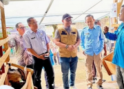 PLN UIW Babel Salurkan Bantuan TJSL Pemberdayaan Kelompok Peternak Kambing Perah di Pangkalpinang