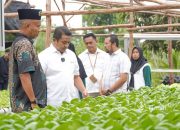 Bersama PT Timah, Kelompok Hidroponik Lanjut Bestari Bangun Ketahanan Pangan dari Desa