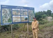 Dorong Kemandirian Ekonomi Desa, PT Timah Gandeng Pemerintah Desa Air Limau Sulap Lahan Bekas Tambang Jadi Kawasan Perkebunan