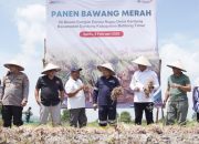 Panen Raya Bawang Merah, Pj Gubernur Babel Apresiasi Komitmen PT Timah  dalam Wujudkan Ketahanan Pangan Daerah