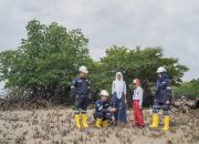 Wujudkan Aksi Nyata, PT Timah Tanam Ratusan Ribu Mangrove Dukung Target Net Zero Emission
