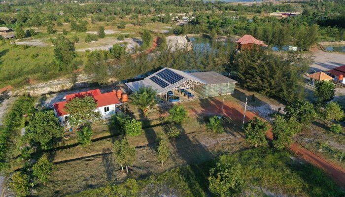 PT Timah Sinergikan Rehabilitasi Lingkungan dan Energi Hijau Lewat PLTS di Lahan Bekas Tambang
