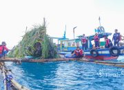 Bersama Kelompok Nelayan di Matras, PT Timah Kembali Tenggelamkan Rumpon