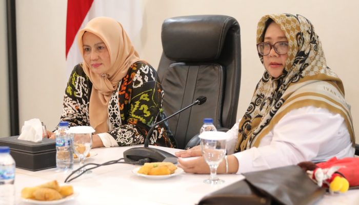 Wagub Hellyana Ingin Jadikan Pulau Belitung Sebagai Carbon Free Island