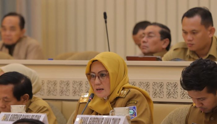 Raker Bersama Komisi II DPR RI, Wagub Hellyana Tegaskan Pentingnya Penguatan Daerah