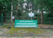 Hutan Kota Mentok, Komitmen PT Timah Jaga Flora Fauna Endemik dan Kawasan Konservasi