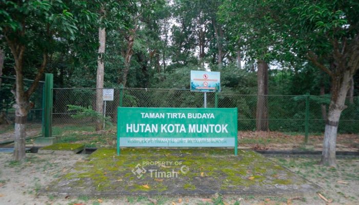 Hutan Kota Mentok, Komitmen PT Timah Jaga Flora Fauna Endemik dan Kawasan Konservasi