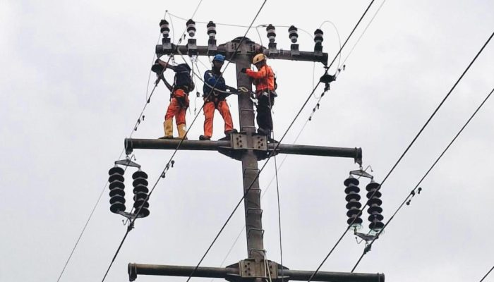 PLN Babel Tingkatkan Keandalan Transmisi Listrik Melalui Penerapan ‘PANTOM’