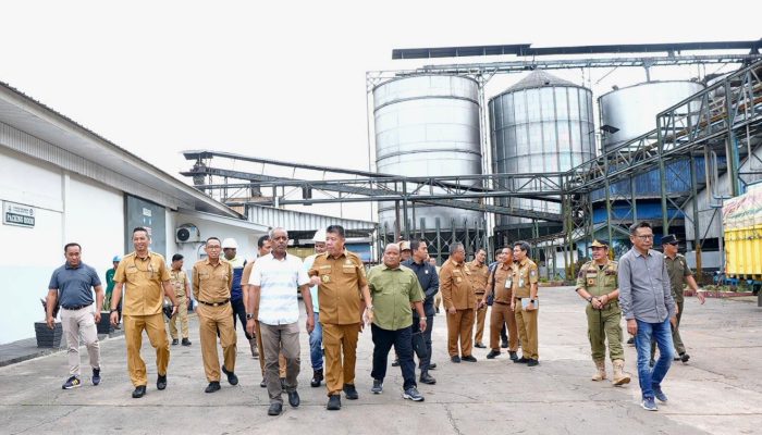 Pastikan Distribusi dan Harga Stabil, Gubernur Hidayat Arsani Tinjau Produksi Minyak Sawit di Belitung Timur