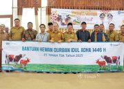 Konsisten Berbagi Hewan Kurban untuk Masyarakat, Bupati Bangka Tengah Apresiasi PT Timah