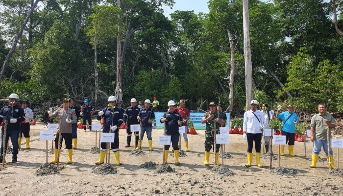 Langkah Nyata PT Timah Dalam Peringatan Hari Lingkungan Hidup Sedunia, Tanam Ribuan Pohon Mangrove di Pesisir Pantai Tanjung Labun Untuk Cegah Abrasi