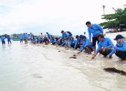 Dukung Pariwisata dan Ekosistem Laut, PT Timah Tbk Bersama AAI Sumbagsel Lepasliar Tukik Sisik di Pulau Kelayang