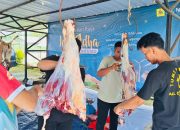PLN Babel Bagikan Lebih dari Seribu Paket Daging Kurban dalam Momen Iduladha 1446 H