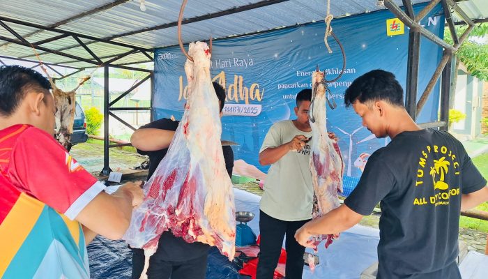 PLN Babel Bagikan Lebih dari Seribu Paket Daging Kurban dalam Momen Iduladha 1446 H