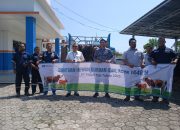 Pererat Silaturahmi, PT Timah Tebar Ratusan Hewan Kurban di Empat Provinsi