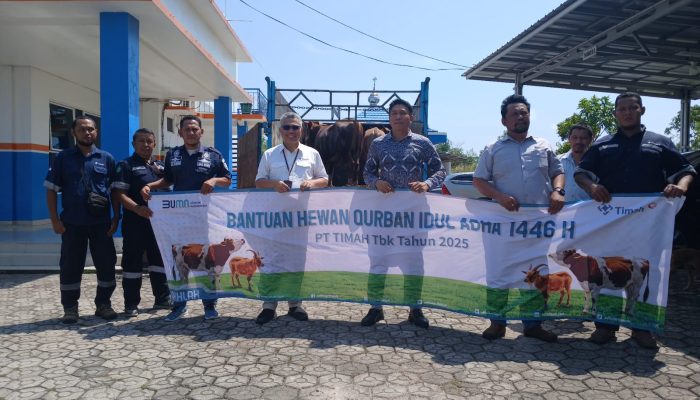 Pererat Silaturahmi, PT Timah Tebar Ratusan Hewan Kurban di Empat Provinsi
