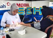 Gelar Donor Darah Sambut HUT ke-49 Perusahaan, PT Timah dan PMI Belitung Kumpulkan Puluhan Kantong Darah