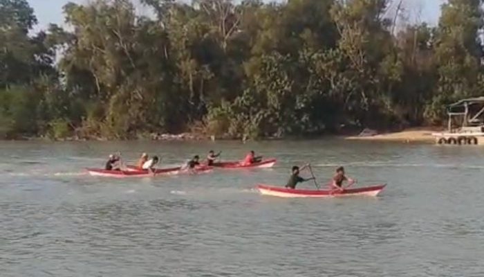 Lestarikan Lingkungan dan Budaya Masyarakar Pesisir, PT Timah Dukung Lomba Dayung dan Penanaman Mangrove Bersama HNSI Bangka