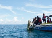 Coral Garden PT Timah: Kolaborasi Rawat Laut yang Hasilkan Ikan, Wisata, dan Harapan Baru