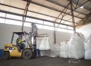 Setorkan Pajak dan PNBP, Bukti Nyata PT Timah Untuk Mendukung Pembangunan Nasional