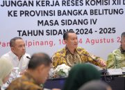 Pemprov Babel Usulkan Tambahan Kuota Elpiji 3 Kg untuk RTM dan UMKM, Ketua Komisi XII DPR RI BPJ Nyatakan Dukungan
