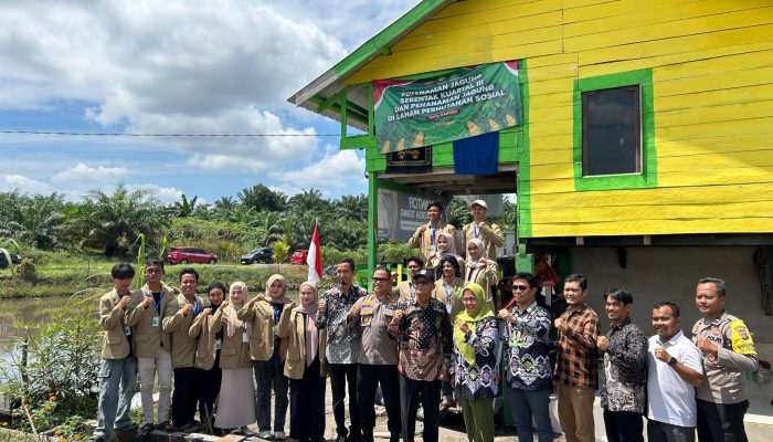 Kegiatan Budidaya Ikan Air Tawar oleh Mahasiswa PMM Unmuh Babel