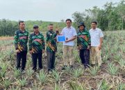 Perkuat Ekonomi Masyarakat, PT Timah Bantu Petani di Kundur Lewat Bibit Tanaman