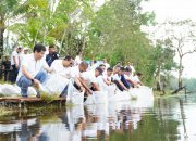PT TIMAH  Tbk Tebar Belasan Ribu Bibit Ikan di Kolong Bekas Tambang, Optimalisasi Pemanfaatan Kolong dan Ekonomi Masyarakat