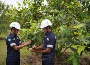PT TIMAH Tbk Konsisten Laksanakan Reklamasi, Satu Dekade Sudah Tanam 1,4 Juta Pohon di Provinsi Kepulauan Bangka Belitung