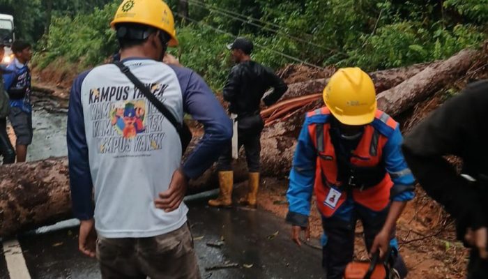 PLN Babel Pastikan Kelistrikan Bangka Belitung Telah Pulih 100%