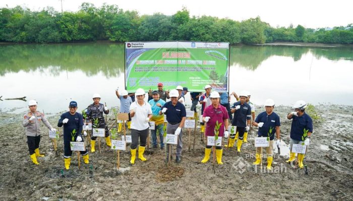 Bersama Pemkab Bangka, PT TIMAH Tanam Pohon di Kolong AKHLAK Air Kantung
