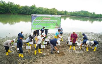 Kolaborasi PT TIMAH, Pemerintah Kabupaten Bangka dan Warga Ubah Kolong AKHLAK Jadi Kawasan Produktif