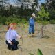 Puluhan Ribu Mangrove Ditanam Sepanjang 2025, PT TIMAH Dukung Target Net Zero Emissions 2060