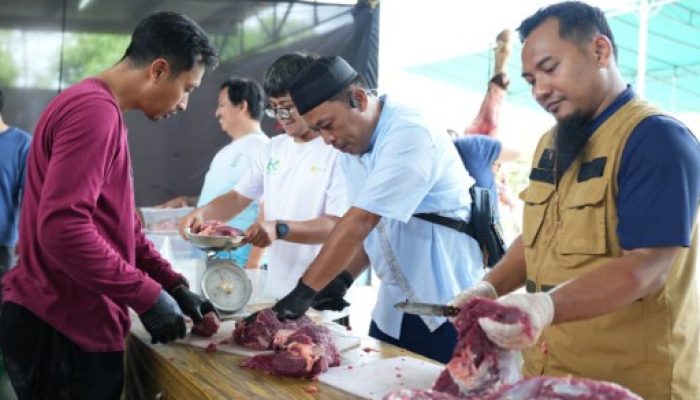 PLN UIW Babel Distribusikan Ribuan Paket Daging Kurban Dalam Momen Idul Adha 1447 H