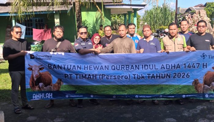 Didukung PT Timah, SMSI Babel Gelar Kurban untuk Perkuat Kebersamaan Anggota