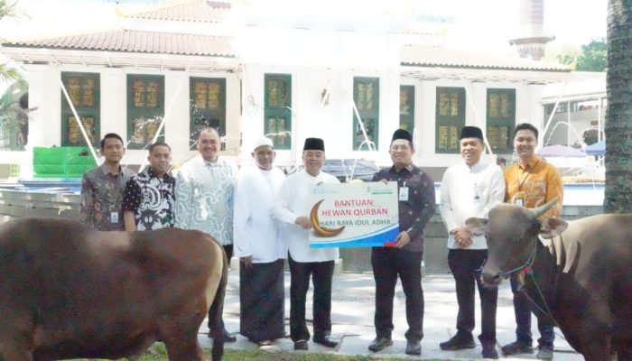 Iduladha 1447 H Bank Sumsel Babel distribusikan Bantuan Hewan Kurban ke Masyarakat Sumsel dan Babel