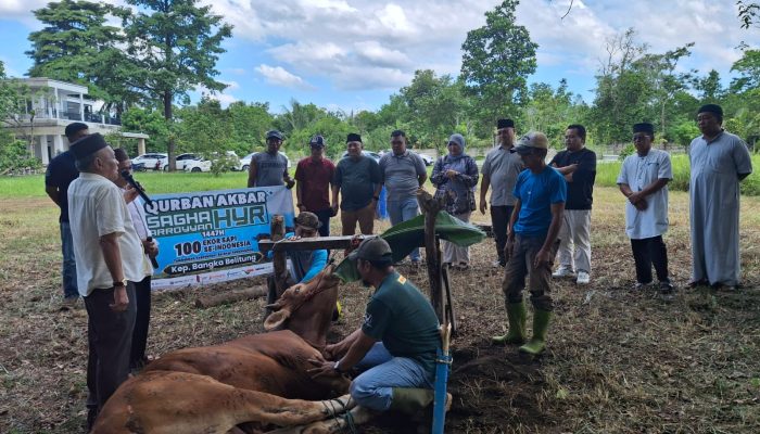 Hanta Yuda Rasyid: Sumbangkan 100 Sapi Qurban se-Indonesia, Angkat Marwah Babel di Idul Adha