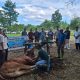 Hanta Yuda Rasyid: Sumbangkan 100 Sapi Qurban se-Indonesia, Angkat Marwah Babel di Idul Adha