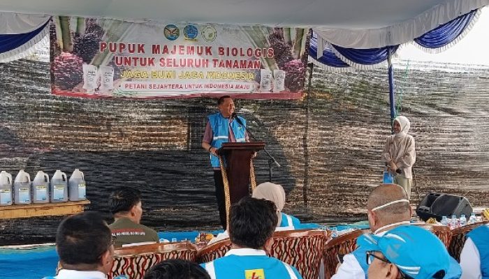 Jadi Percontohan Nasional, Bambang Patijaya Apresiasi PLN Babel dalam Pemanfaatan Limbah PLTU untuk Pupuk