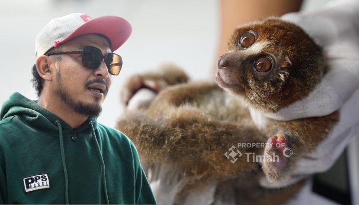 Karhutla Ancam Satwa Liar, PT TIMAH dan Alobi Perkuat Penyelamatan di Bangka Belitung